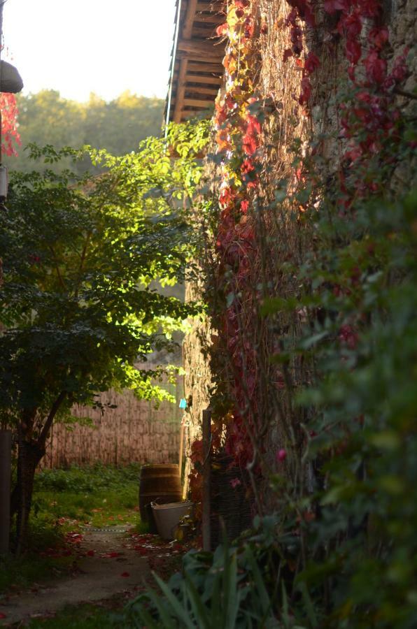 Torre Tanquian Eco Finca - Ribeira Sacra Pantón Εξωτερικό φωτογραφία